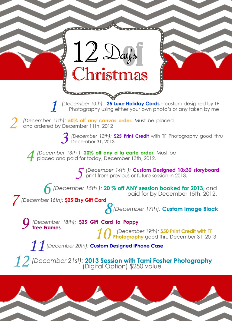 The 12 Days of Christmas at Tami Fosher Photography!!! - Tami Fosher Photography